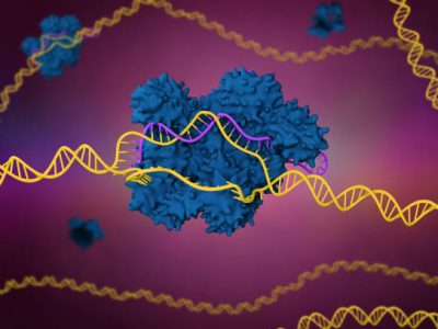 Editing genomico con CRISPR